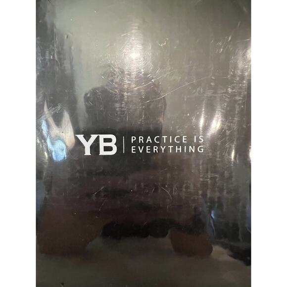 YB Yoga Body Trapeze Pro Inversion Swing Flexibility Strength Balance purple - Picture 2 of 4